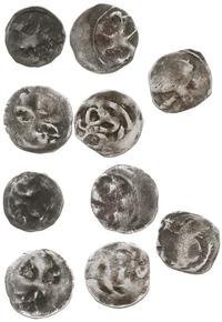 5 x denar (w tym jednostronne) XIV-XV w., Trzebi