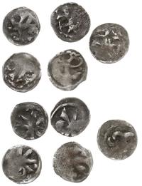 5 x denar (w tym jednostronne) XIV-XV w., Wolin 