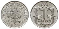 1 złoty 1929, Warszawa, pięknie zachowane, Parch