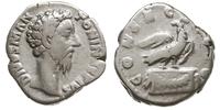 denar pośmiertny po 180 r., Rzym, Aw: Głowa cesa