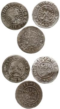 Polska, zestaw: 3 x półgrosz koronny, 1507, 1510, 1511
