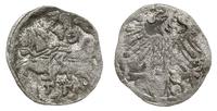 denar 1559, Wilno, Aw: Orzeł, Rw: Pogoń, pod nią