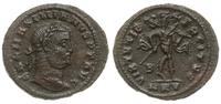 Cesarstwo Rzymskie, follis, 308-309