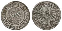 Prusy Książęce 1525-1657, grosz, 1532