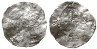 denar 1002-1024, Aw: Głowa cesarza w koronie na 