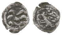 denar XIV - XV w., Aw: Trzy fale, Rw: Gryf krocz