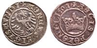 półgrosz 1507, Kraków, jedna z pierwszych monet 