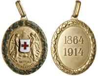 Honorowa Odznaka Czerwonego Krzyża , Aw: dwa ani