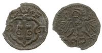 denar 1551, Wschowa, odmiana z gwiazdkami pomięd