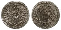 denar 1579, Gdańsk, rzadki, Tyszk. 10