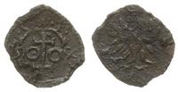 denar 1590, Wschowa, Aw: Tarcza herbowa Wschowy,