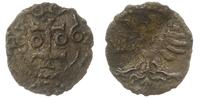 denar 1602, Wschowa, odmiana z pełną datą, Aw: O