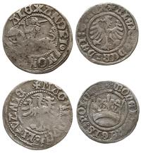 zestaw 2 monet, 1. półgrosz litewski, 1. pólgros