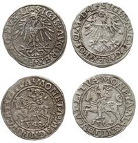 lot 2 sztuk monet, 1. półgrosz 1548, Wilno, 2. p