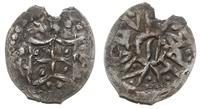 denar (półgrosz) 1387-1392, Kijów, Aw: Tarcza he