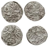 zestaw: 2 x denar 1555, 1560, Wilno, razem 2 szt