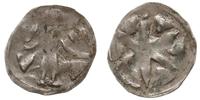denar 1323-1345, Aw: Margrabia na wprost, po bok