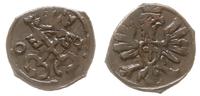 denar 1609, Poznań, polakierowany, Kop. 7960 (R4