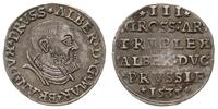 trojak 1535, Królewiec, odmiana z napisem PRVSS,