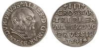 trojak 1541, Królewiec, odmiana z długą brodą ks