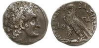 tetradrachma 109-108 pne, Aleksandria, Aw: Głowa