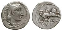 denar 105 pne, Rzym, Aw: Głowa Junony Sospity w 