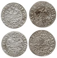 zestaw: 2 x półgrosz litewski 1547 i 1556, Wilno