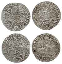 zestaw: 2 x półgrosz litewski 1557 i 1562, Wilno