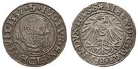 Prusy Książęce 1525-1657, grosz, 1537