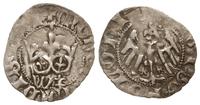 Polska, półgrosz koronny, 1416-1422