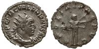 Cesarstwo Rzymskie, antoninian, 253-254
