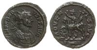 antoninian 276-282, Rzym, Aw: Popiersie cesarza 