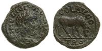 brąz AE-20, Troas, Aw: Popiersie cesarza w prawo