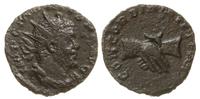 Cesarstwo Rzymskie, antoninian, 269