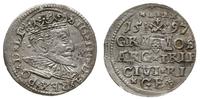 trojak 1597, Ryga, moneta niecentrycznie wybita 