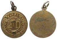 medal Wystawa Higieniczna w Warszawie 1926, nies