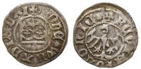 Polska, półgrosz koronny, 1431-1434