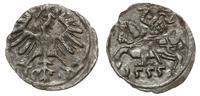 denar 1555, Wilno, rzadki, Ivanauskas'09 2SA13-6