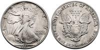 1 dolar 1991, srebro 31.23 g