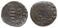 zestaw 2 monet, 1. pawus bez daty Zygmunt Luksem