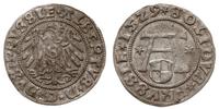 szeląg 1529, Królewiec, Slg. Marienburg 1115, Vo