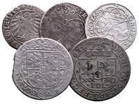zestaw monet: grosz 1534-Toruń, ort 1622-Bydgosz