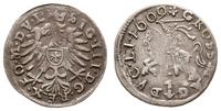 grosz litewski 1609, Wilno, końcówka na awersie 