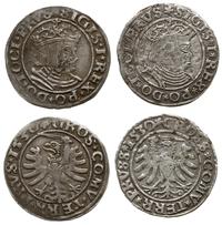 Polska, zestaw: 2 x grosz, 1530