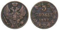 3 grosze  1837 MW, Warszawa, moneta polakierowan
