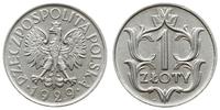 1 złoty 1929, Warszawa, Bardzo ładny. Rzadki w t