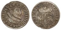 grosz 1593, Olkusz, Aw: Popiersie króla i napis 