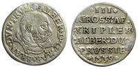 trojak 1539, Królewiec, podrapany, zanitowana dz