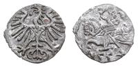 denar 1554, Wilno, Ivanauskas'09 2SA12-5, Kop. 3