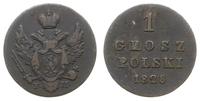 grosz polski 1828, Warszawa, Bitkin 1055, Plage 